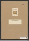 Actinoptychus mirabilis Lend.-Fortm. (de-Toni-Nr.: Genus 227, Species 5574) Zeichnungen Sammlung Grunow Nr. 9614 (NHMW-BOT-W0379433)